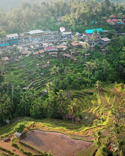 High angle view of townscape