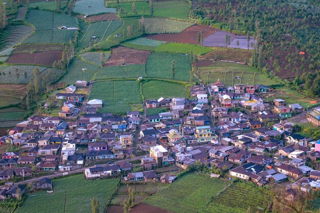 High angle view of townscape