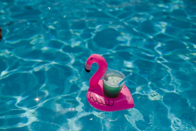 High angle view of toy floating on swimming pool