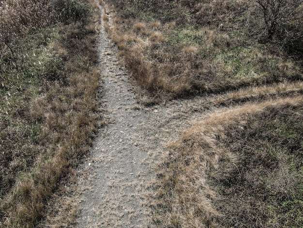 Photo high angle view of trail on land