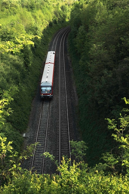 Foto vista ad alto angolo del treno in mezzo agli alberi