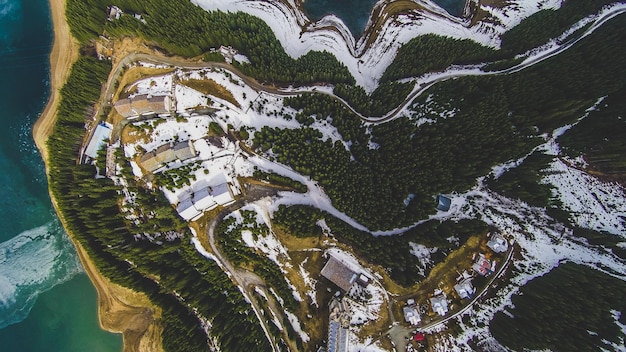 Foto vista ad alto angolo dell'albero dal mare durante l'inverno