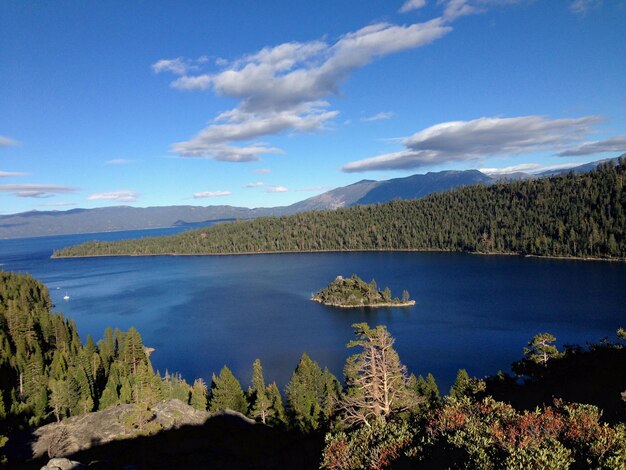 High angle view of trees against calm sea