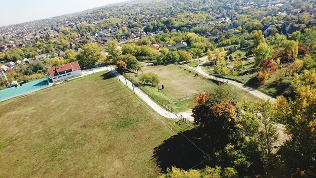 High angle view of trees along landscape