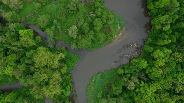 High angle view of trees along plants