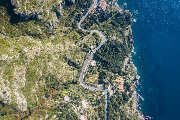 Foto vista ad alto angolo degli alberi lungo la strada