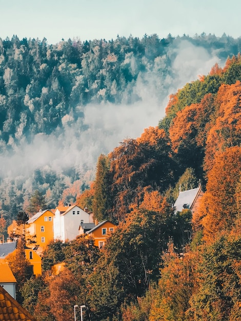 Photo high angle view of trees and buildings against sky