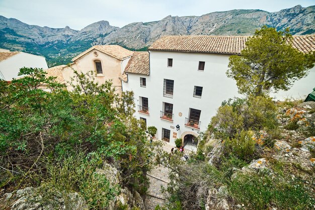 Foto vista ad alto angolo di alberi e edifici contro il cielo