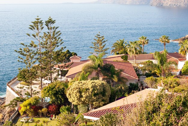 Foto vista ad alto angolo di alberi e edifici dal mare