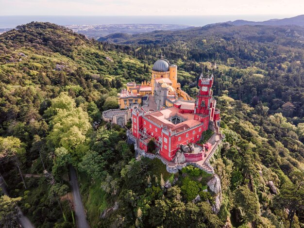 Foto vista ad alta angolazione di alberi e edifici in città