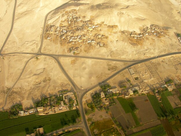 High angle view of trees and buildings in city