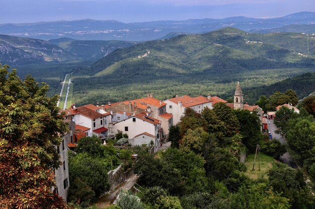 High angle view of trees and buildings in city