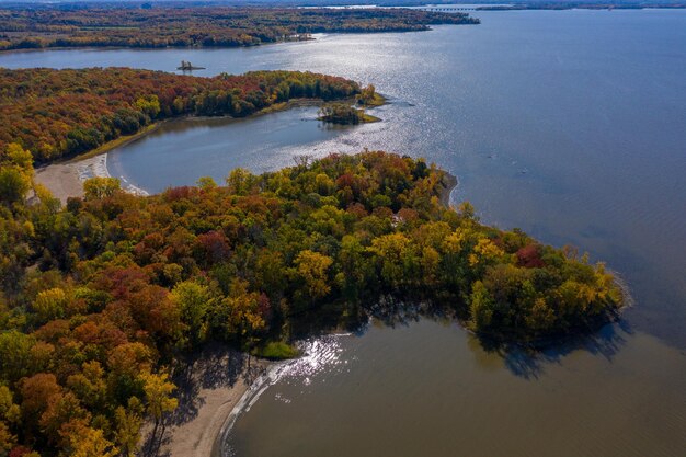 Vista ad alto angolo degli alberi dal lago