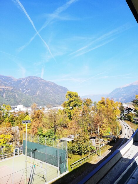 Foto vista ad alto angolo degli alberi dalla strada contro il cielo blu