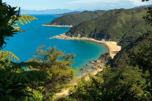 Foto vista ad alto angolo degli alberi dal mare contro il cielo