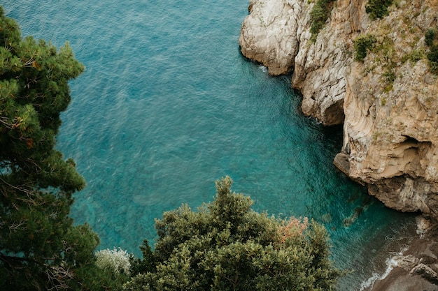 Vista ad alto angolo degli alberi dal mare contro il cielo