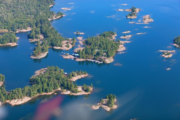 High angle view of trees by sea