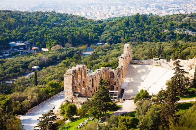 Foto vista ad alta angolazione degli alberi in città