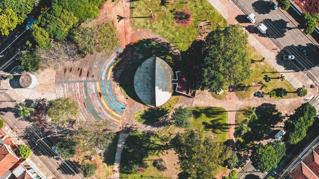 Foto vista ad alta angolazione degli alberi in città