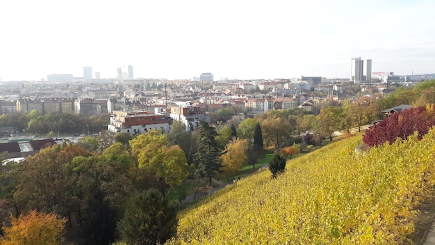 Foto vista ad alto angolo degli alberi e del paesaggio urbano contro il cielo