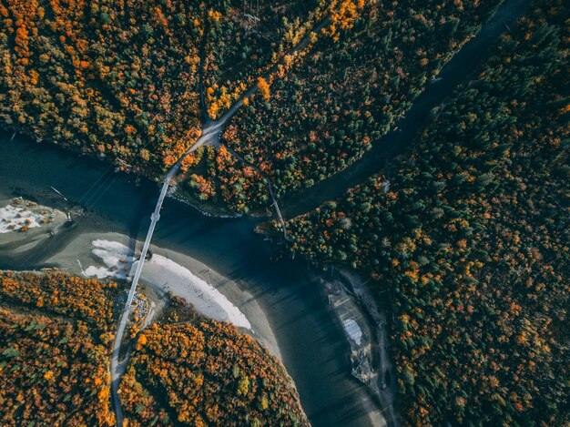 Photo high angle view of trees during autumn