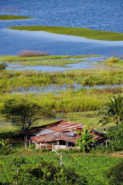 High angle view of trees on field by lake