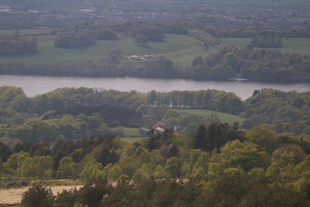 High angle view of trees on field