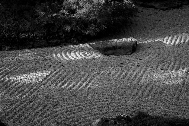 High angle view of trees on field