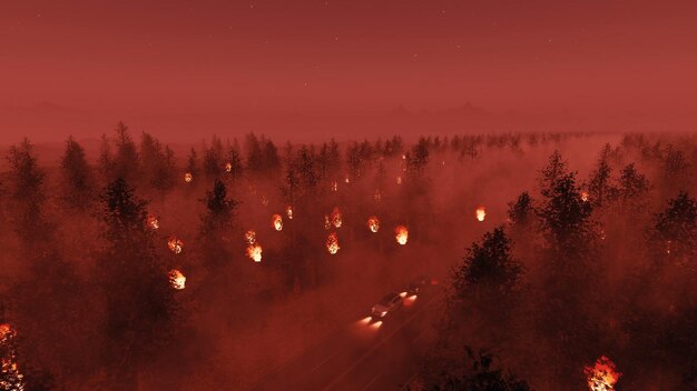 High angle view of trees in forest against sky at night