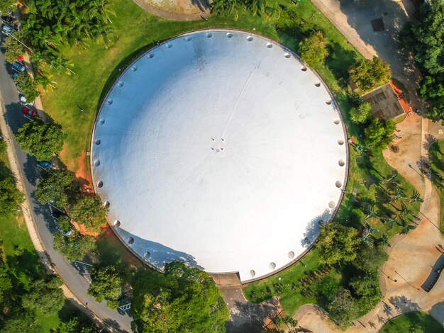 Foto vista ad alto angolo degli alberi e dell'erba