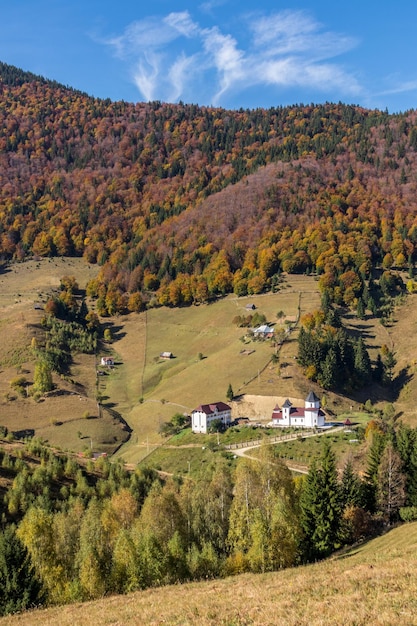 Photo high angle view of trees and houses on field