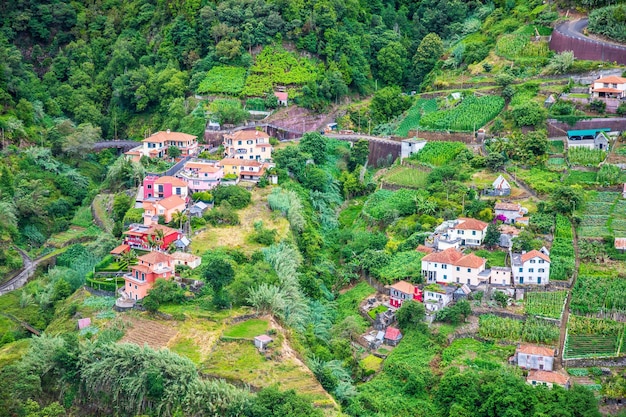 Foto vista ad alto angolo di alberi e case in città