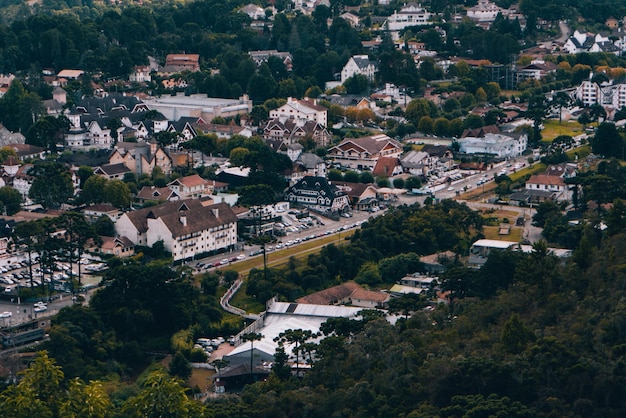 Foto vista ad alta angolazione di alberi e case