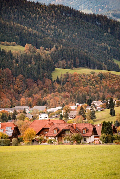 Foto vista ad alto angolo di alberi e case