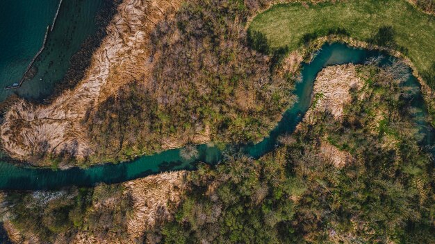 Photo high angle view of trees on landscape