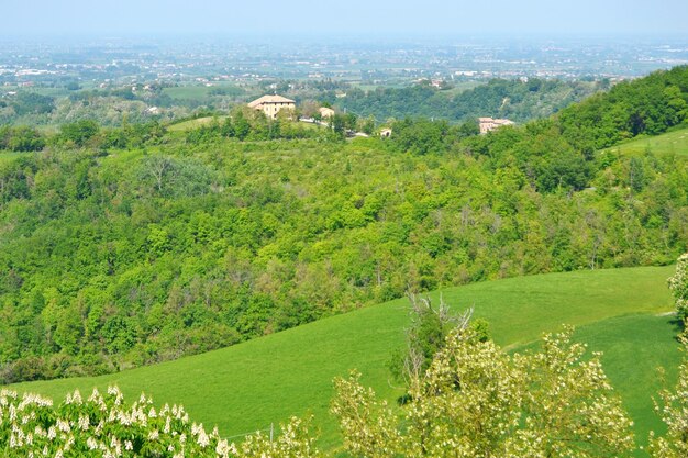 High angle view of trees on landscape