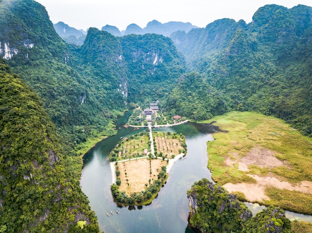 High angle view of trees on mountain