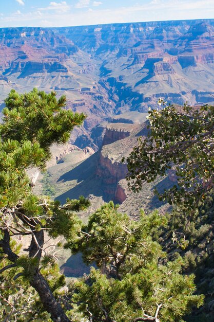 High angle view of trees and mountains against sky