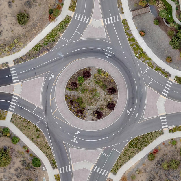 High angle view of trees in park