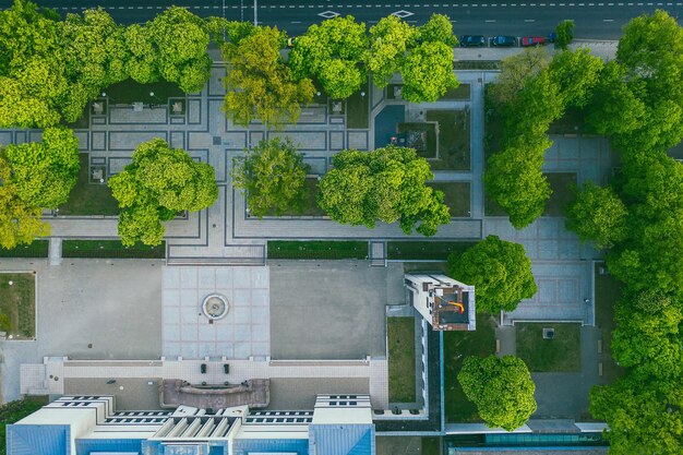 High angle view of trees and plants against building