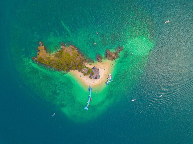 Photo high angle view of turtle in sea