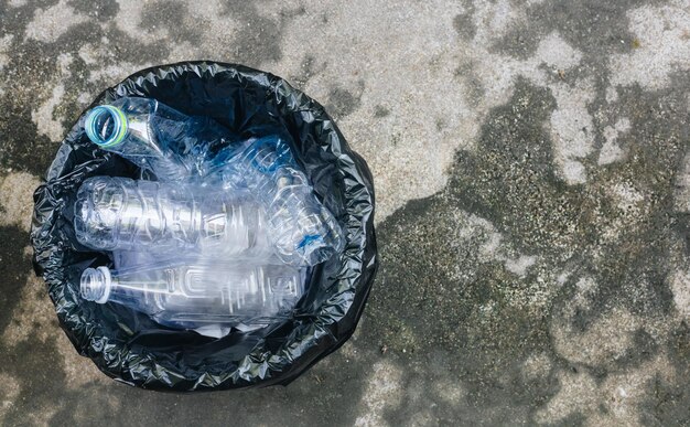 Foto vista ad alta angolazione di una tartaruga in acqua