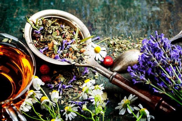 Foto vista ad alta angolazione di vari fiori nel giardino