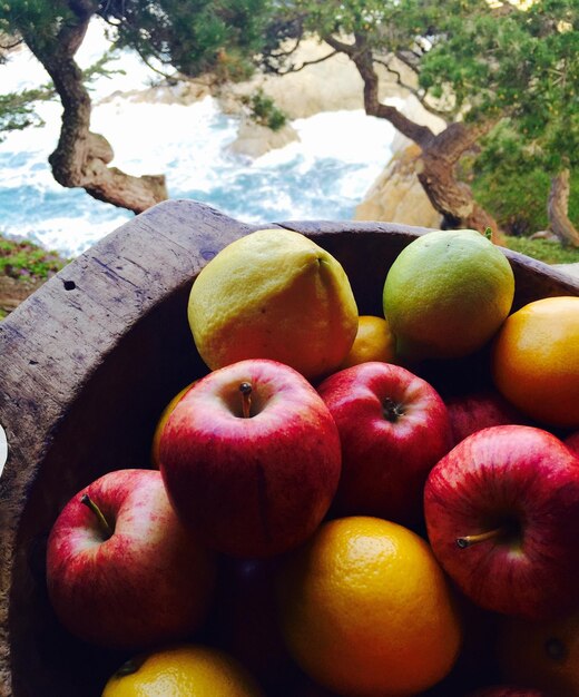 Foto vista ad alta angolazione di vari frutti in cesto sopra il fiume