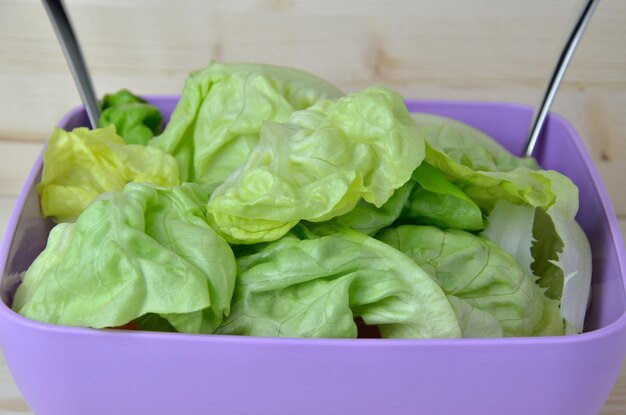 High angle view of vegetables in container