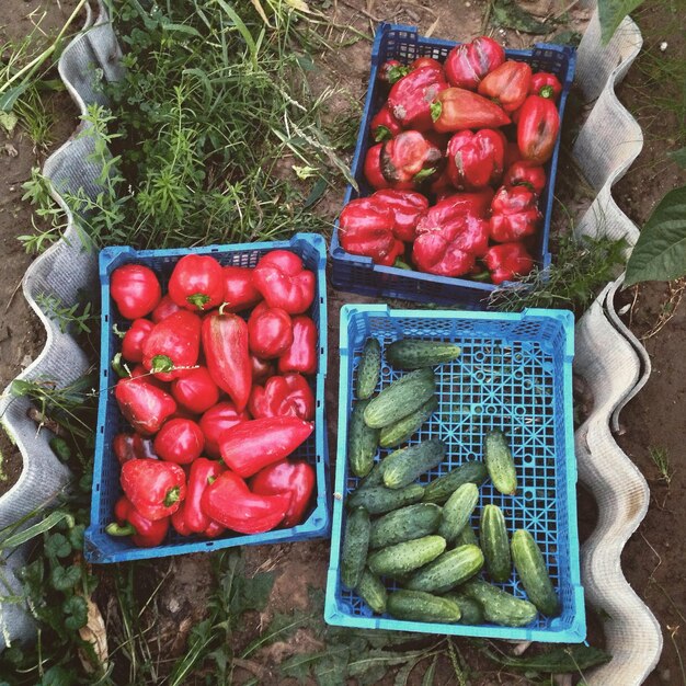 Foto vista ad alta angolazione delle verdure al mercato