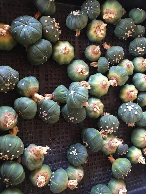 Foto vista ad alto angolo delle verdure per la vendita al mercato