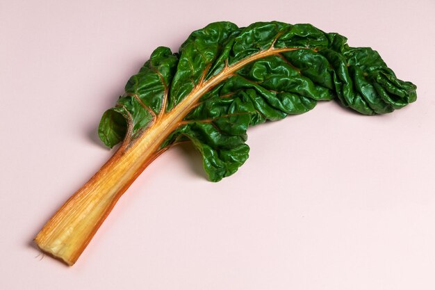 Photo high angle view of vegetables on table against white background