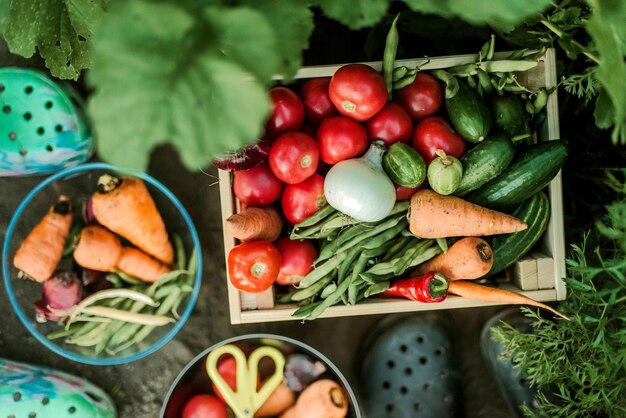 High angle view of vegetables on table