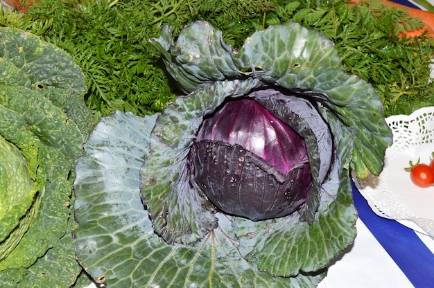 Photo high angle view of vegetables in water